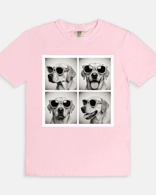 Strike a Pose Lab Tee - blossom